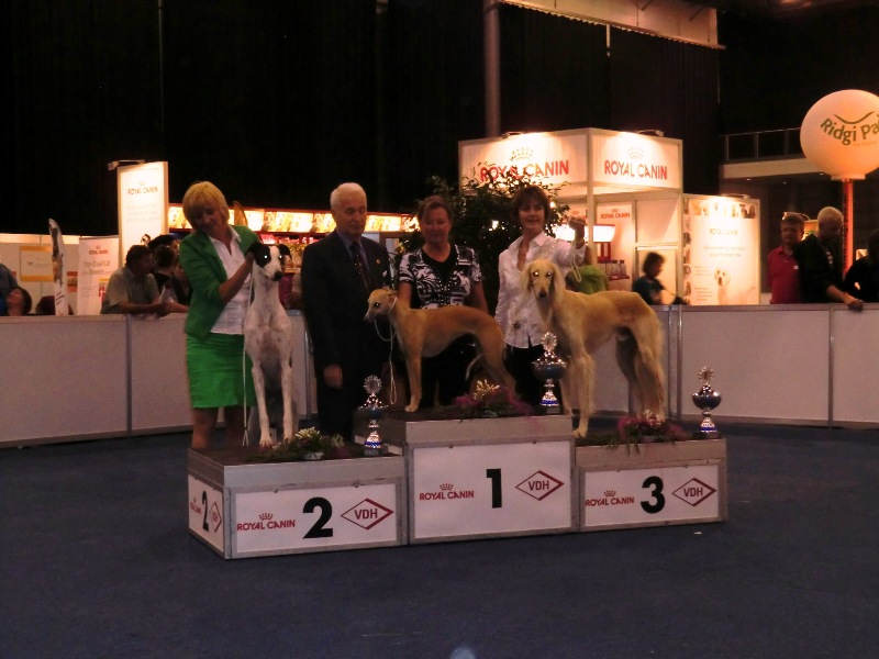--gewinnt-- --gewinnt--