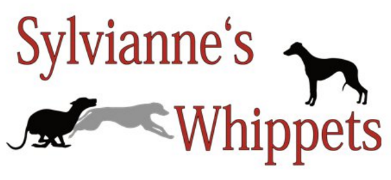 Sylvianne's Whippets