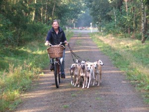 Morgendliche Tour. So sieht's aus, wenn wir unterwegs sind.Karin hat die Schnappschüsse gemacht.