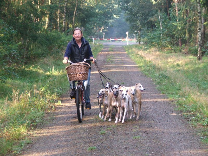 So sieht's aus, wenn  wir unterwegs sind.